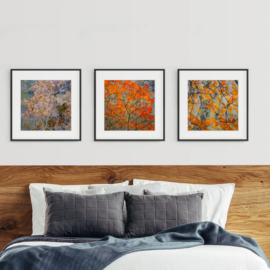Leaf Triptych - 3 Piece Picture Frame Photograph Print Set on Paper