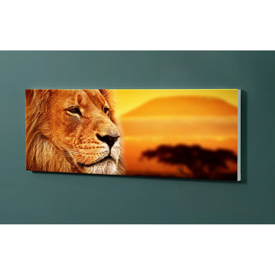 Backlight Lion Savannah Magnetic Wall Mounted Cork Board