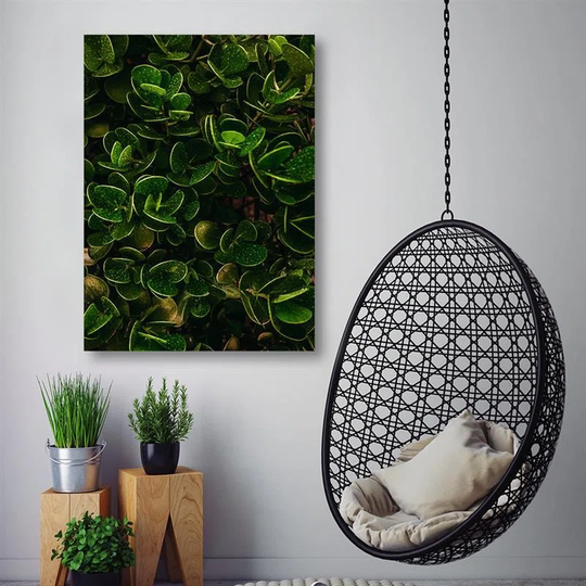 Canvas Print Exotic Green Leaves