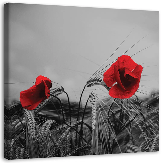 Canvas Print Red Poppies And Corn