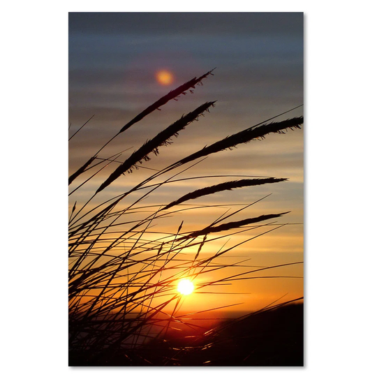 Canvas Print, Orange Landscapes 16404