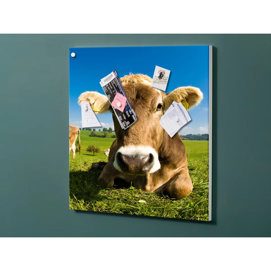 Notiz Motive Cow Meadow Magnetic Wall Mounted Cork Board