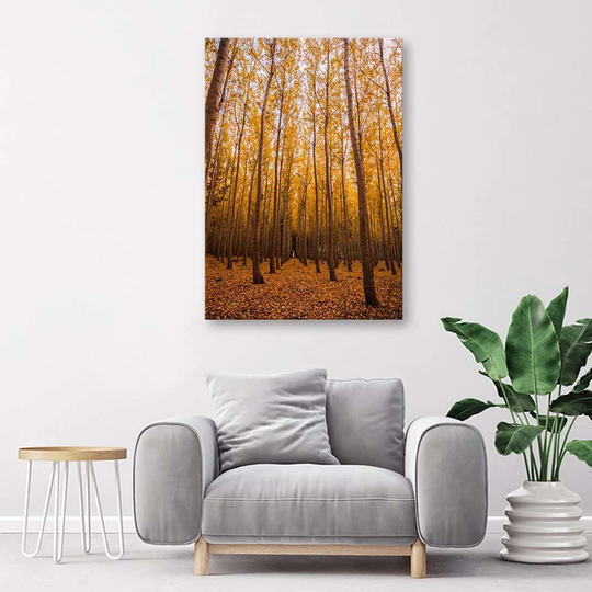 Canvas Print Birch Forest Leaves Yellow