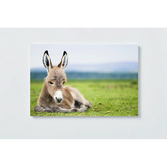 Donkey Motif Magnetic Wall Mounted Cork Board
