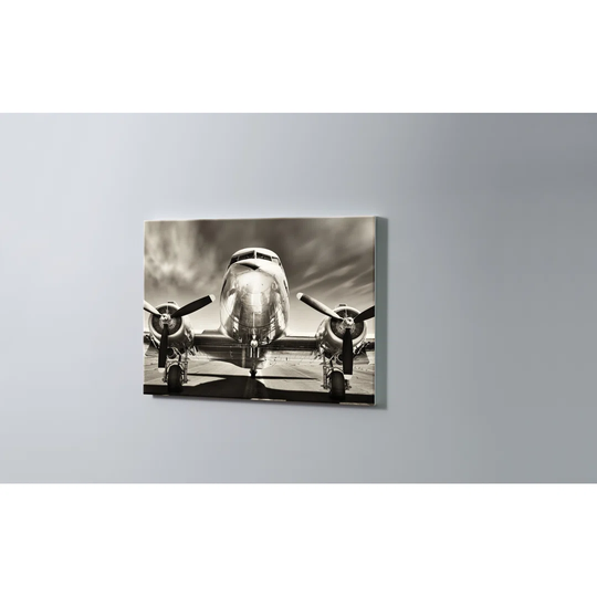 Airplane Magnetic Wall Mounted Cork Board