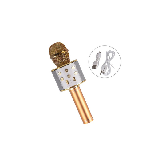 (Gold) WS858 Wireless Microphone Bluetooth Mic Karaoke