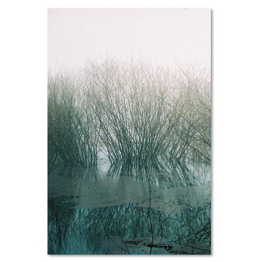 Canvas Print, Green Landscapes 16354