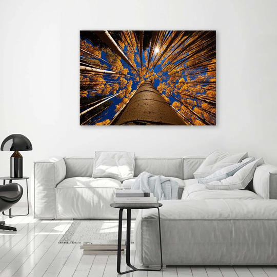 Canvas Print Trees Forest Landscape