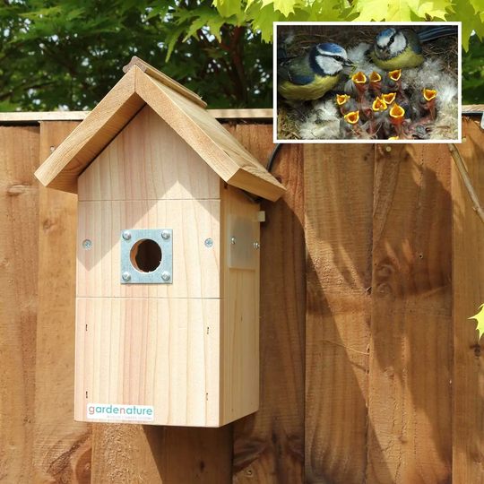 Gardenature Nest Box Wired Camera System - 30 Meter