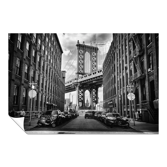 Panther Print Fine Art Prints Black & White Alley & Architectural Brooklyn Bridge Artistic Unframed Poster, Pictures For Home Walls, Bedroom, Living R