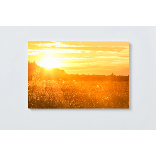 Sunrise Magnetic Wall Mounted Cork Board