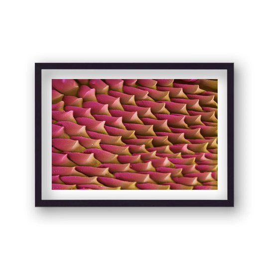 Cellular Beauty Art 11 Pink and Gold by Vouvart - Picture Frame Graphic Art