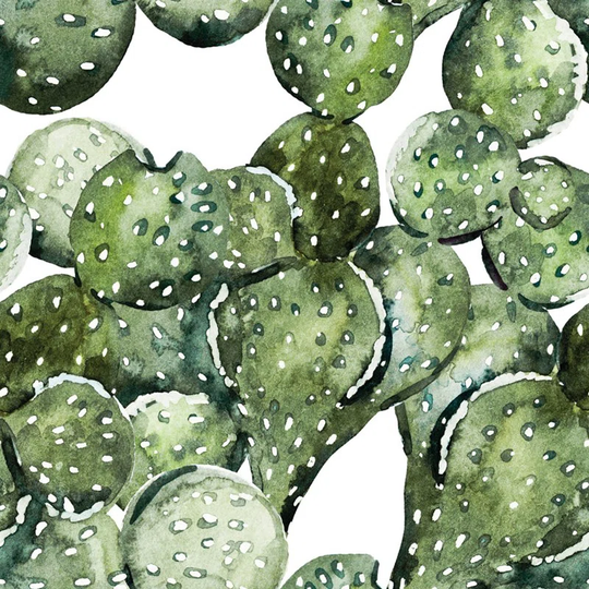 Walllpaper Roll 416X254cm Kitchen Livingroom Bedroom Mural Decoration Wallpaper Material With Print - Cactus
