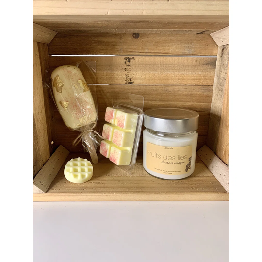 4 Piece Island Fruits Scented Wax Melt Candle Set