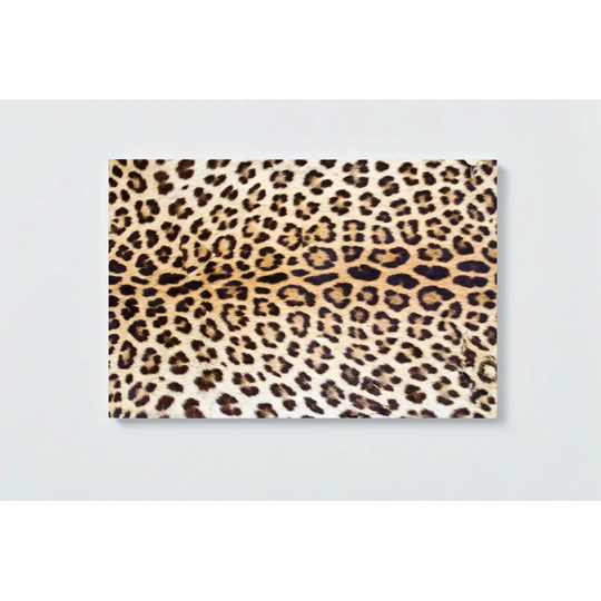 Leopard Motif Magnetic Wall Mounted Cork Board