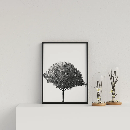 Bushy Tree on White Background by Vouvart - Picture Frame Graphic Art