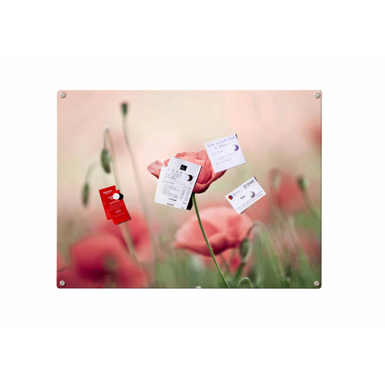 Poppy Flower Magnetic Wall Mounted Photo Memo Board