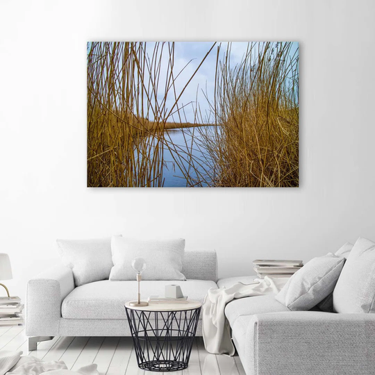 Canvas Print Grass Lake Nature