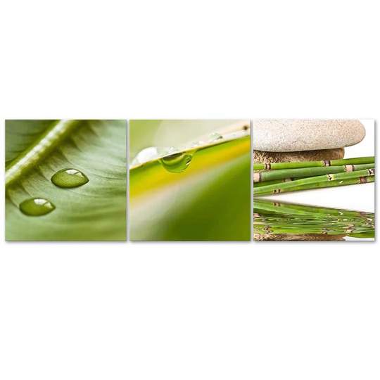 Canvas Print 3 Pieces Nature Zen Leaf