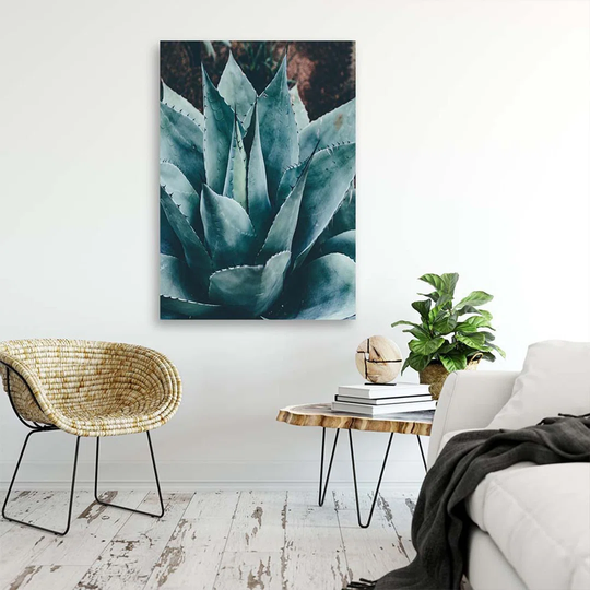 Canvas Print Succulent Flower Leaves