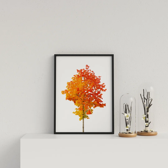 Vibrant Orange Tree on White Background by Vouvart - Picture Frame Graphic Art