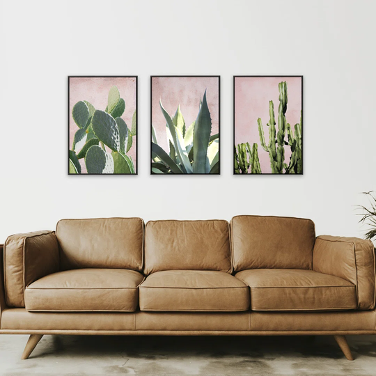 Plants on Pink Triptych - 3 Piece Picture Frame Photograph Print Set on Paper