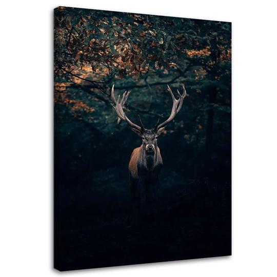 Canvas Print Deer Forest Nature Animals