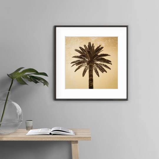 Square Palm Tree N°1 - Picture Frame Photograph Print on Paper