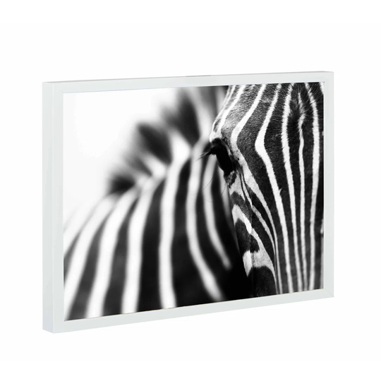 Zebra Magnetic Wall Mounted Photo Memo Board