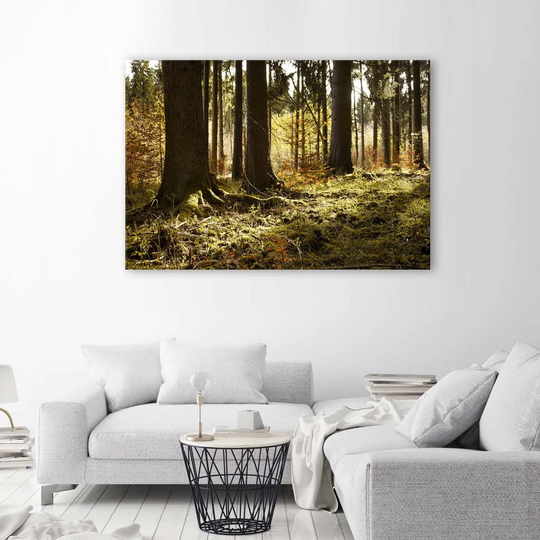 Canvas Print Forest Landscape Nature