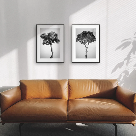 Italian Pine Trees Diptych - 2 Piece Picture Frame Photograph Print Set on Paper
