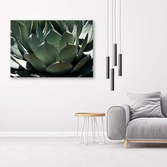 Canvas Print Succulent Plant Green