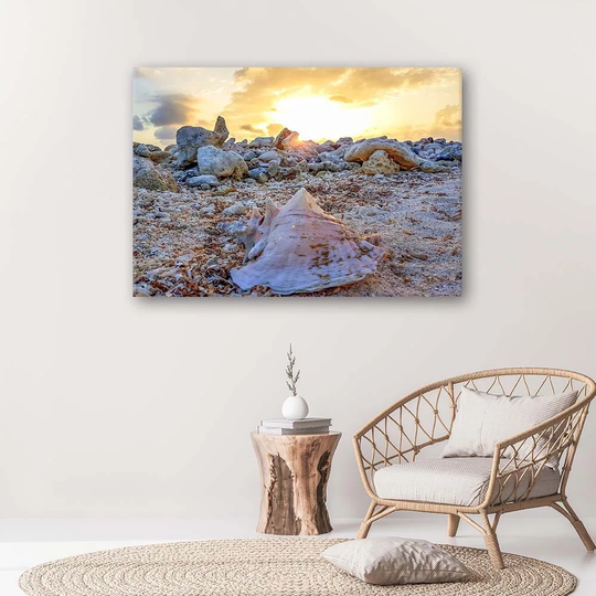 Canvas Print Shell Stones Sea
