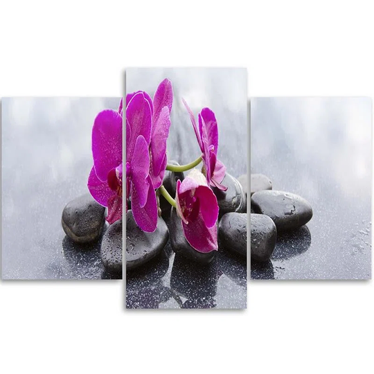 Canvas Print Orchid Flowers Stones Purple