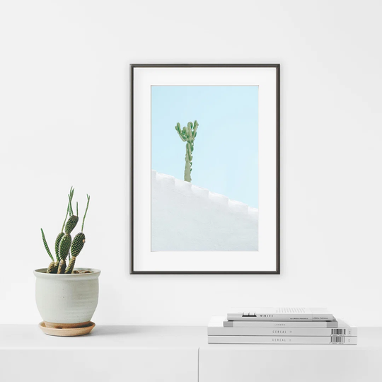 Candle Cactus - Picture Frame Photograph Print on Paper