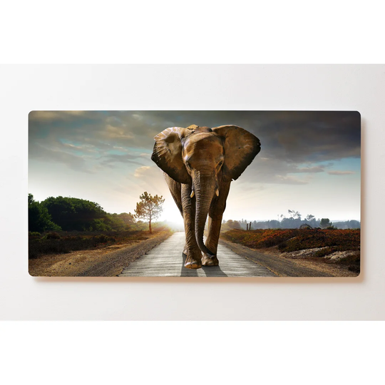 Backlight Motive Wall Picture Elephant Magnetic Cork Board