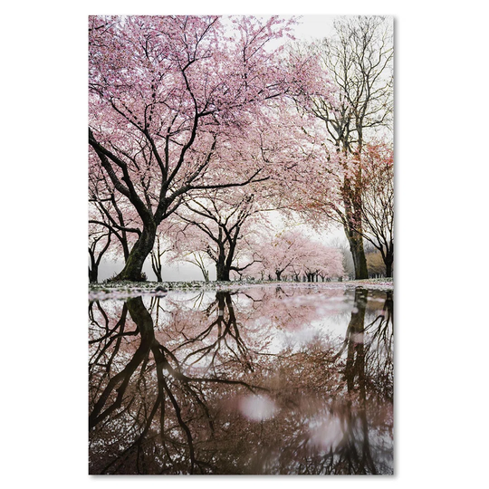Pink Landscapes - Wrapped Canvas Photograph Print
