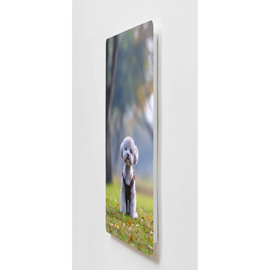 Backlight wall art M107 metal motif picture 60 x 120cm magnetic board
