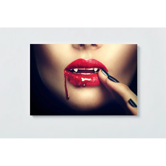 Vampire Motif Magnetic Wall Mounted Cork Board