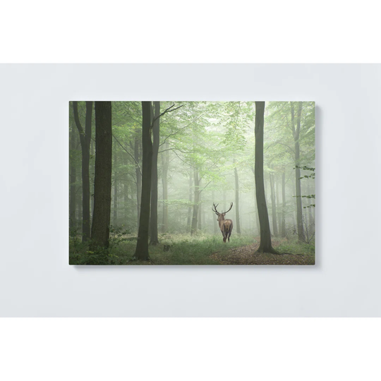 Forest Deer Magnetic Wall Mounted Cork Board