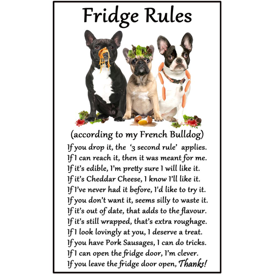 French Bulldog Frenchie Dog Gift - Fridge Rules - Large Fun flexible Fridge Magnet- size 16cms x 10 cms (approx. 6" x4")