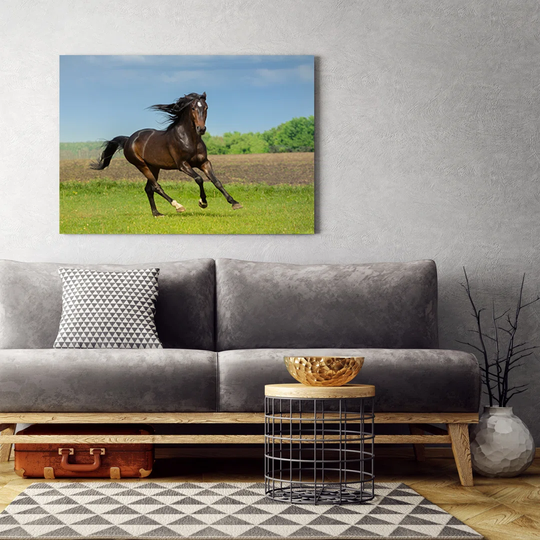 Canvas Print, Brown Animals 16777