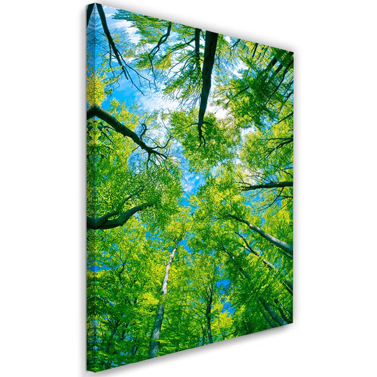 Canvas Print, Nature Green 16295