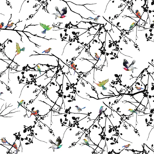 Atanas Bird Animal Animalstree Wallpaper