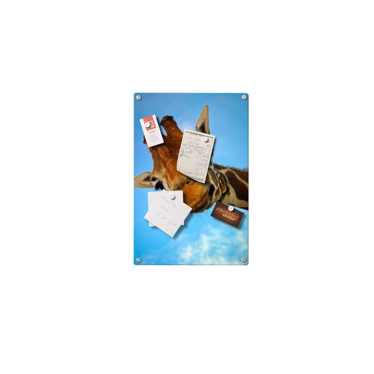 Giraffe Magnetic Wall Mounted Photo Memo Board