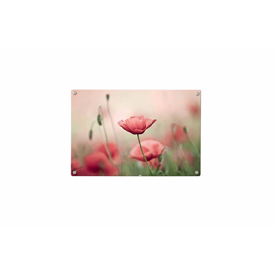 Poppy Flower Magnetic Wall Mounted Photo Memo Board