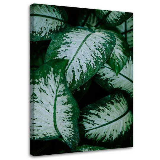 Canvas Print Green Leaves Nature Plant