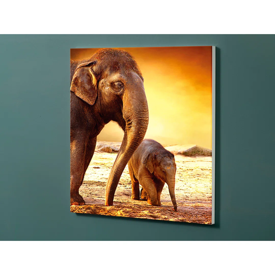 Notiz Motive Elephant Magnetic Wall Mounted Cork Board