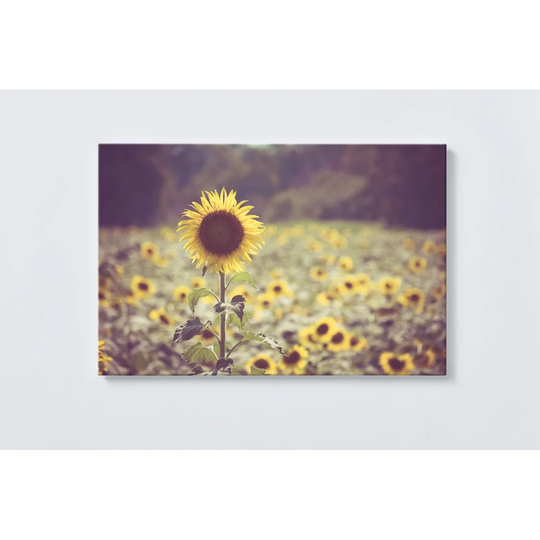 Sunflower Magnetic Wall Mounted Cork Board
