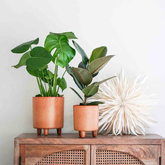 Ivyline Pisa Reactive Glaze Planter Fawn H19CM D16CM